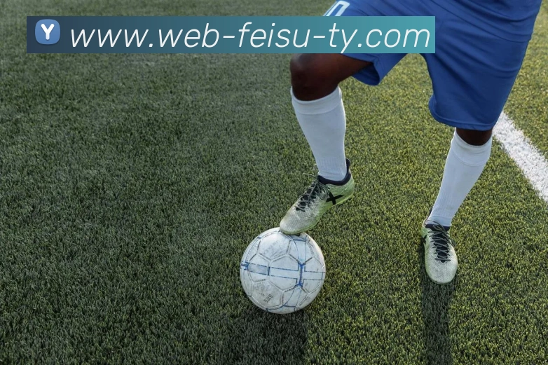 飞速体育平台生态图